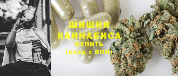 PSILOCYBIN Балабаново