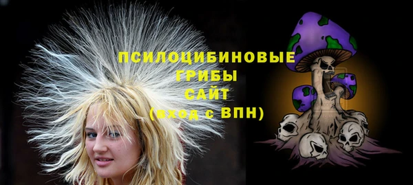 ешки Балахна